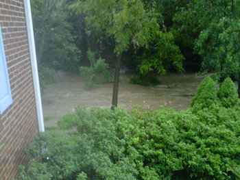 Stream from front porch.jpg